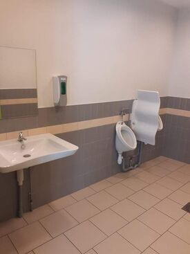 Toilette homme